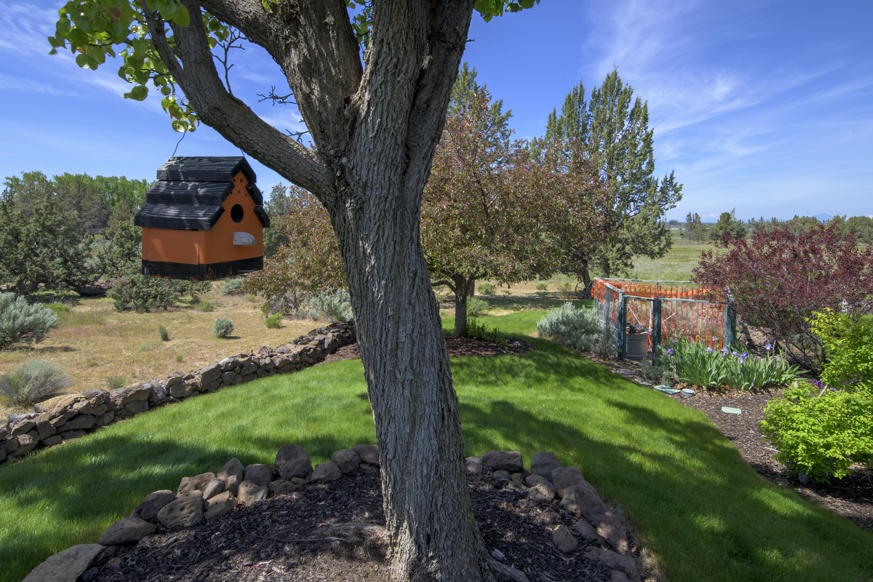 Powell Butte, Oregon, 97753, United States, 4 Bedrooms Bedrooms, ,3 BathroomsBathrooms,Residential,For Sale,1851575