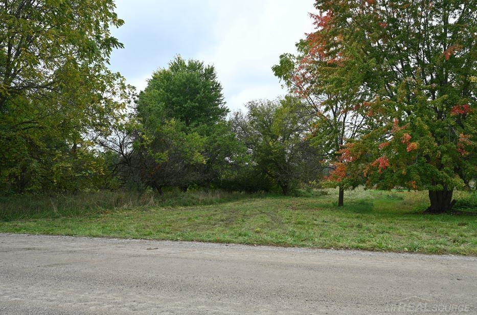 Morrice, Michigan, 48857, United States, ,Residential,For Sale,1942639