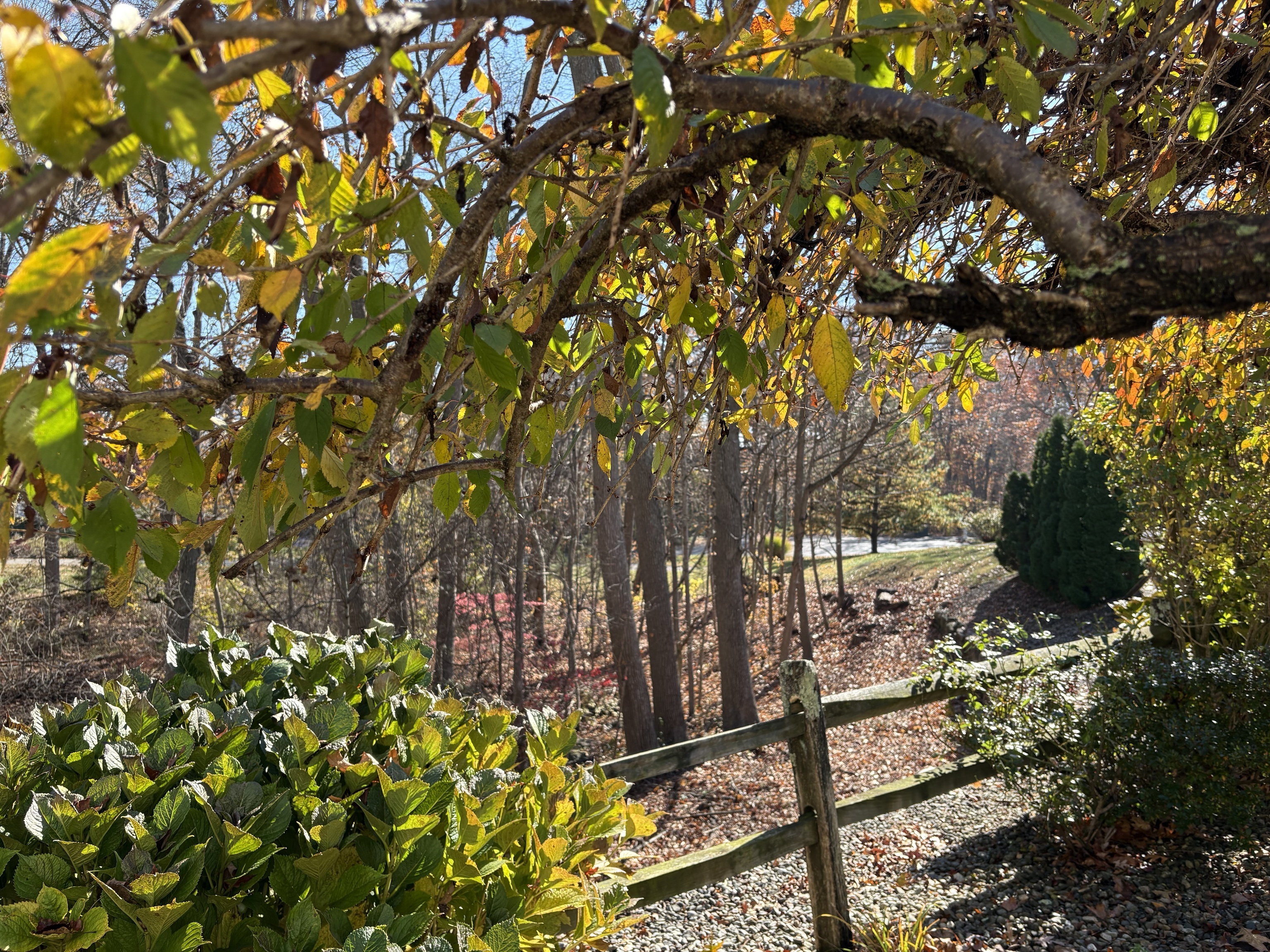 Clinton, Connecticut, 06413, United States, 4 Bedrooms Bedrooms, ,3 BathroomsBathrooms,Residential,For Sale,1989130