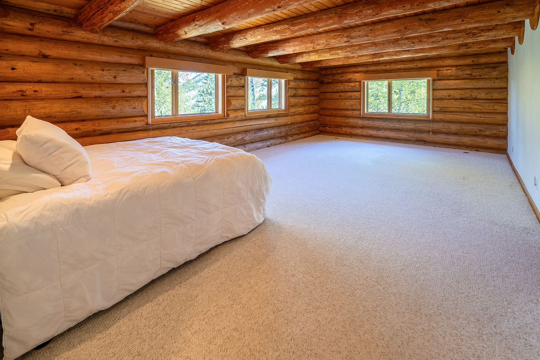  Keats Grove Log Home - 物件實景