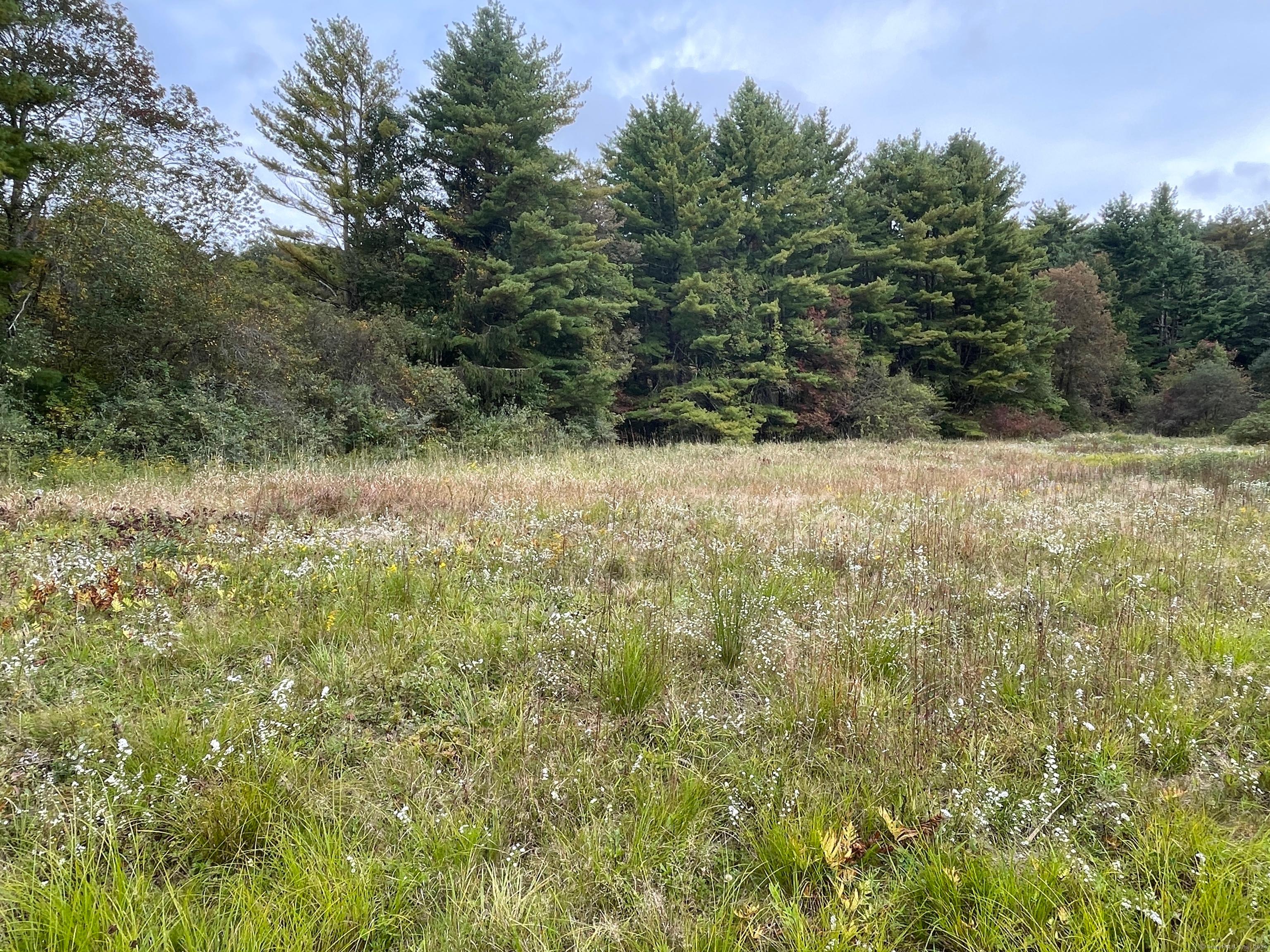 Litchfield, Connecticut, 06759, United States, 3 Bedrooms Bedrooms, ,3 BathroomsBathrooms,Residential,For Sale,1937635