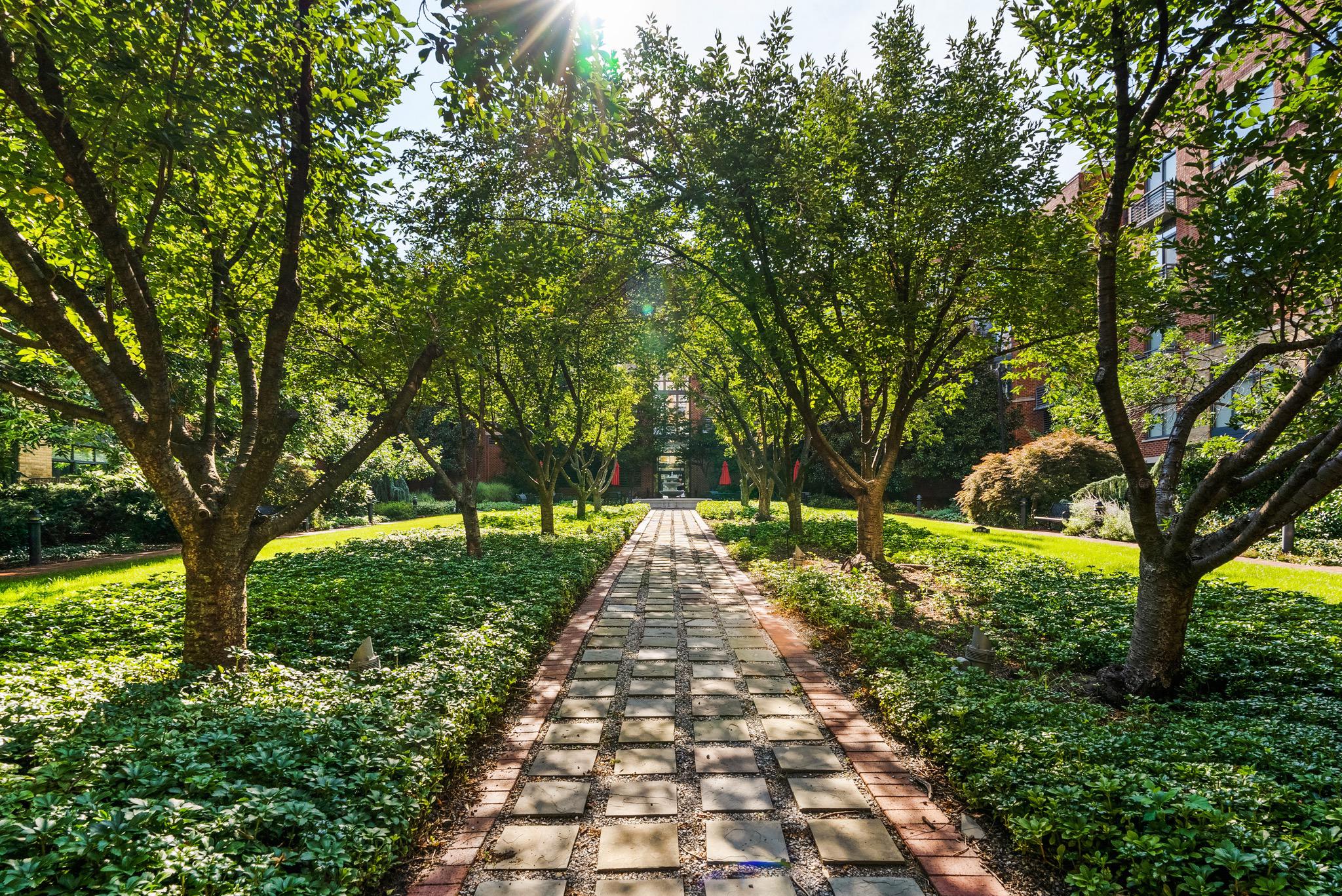  520 John Carlyle Street, Alexandria, VA, 22314 - 物件實景