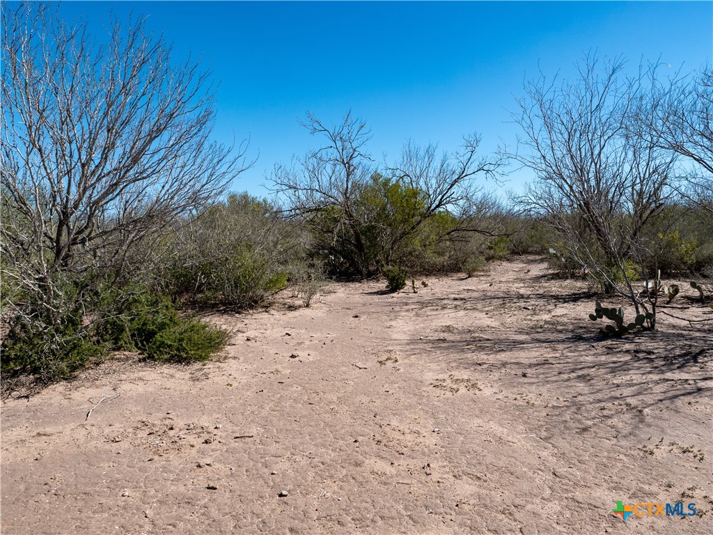 George West, Texas, 78022, United States, ,Land,For Sale,1738703