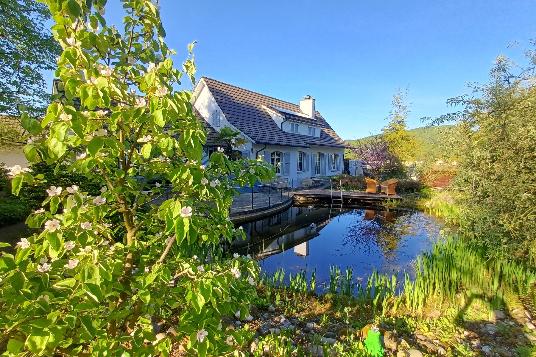  Country villa with spacious grounds - 物件實景
