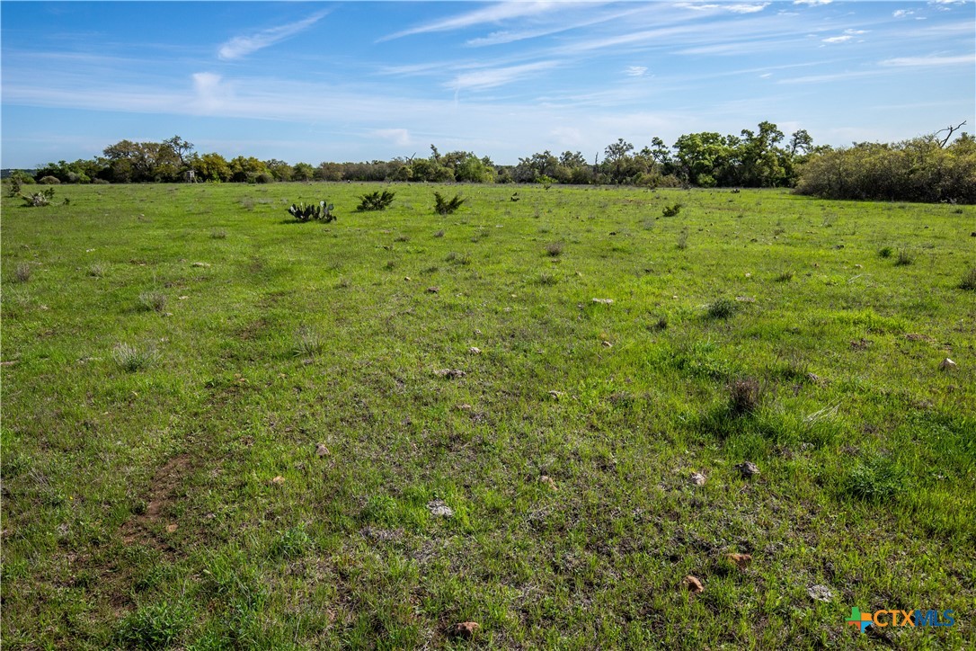 San Marcos, Texas, 78666, United States, ,Land,For Sale,1990898