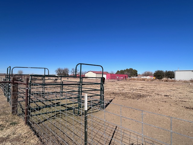 Carlsbad, New Mexico, 88220, United States, 4 Bedrooms Bedrooms, ,4 BathroomsBathrooms,Residential,For Sale,2006248