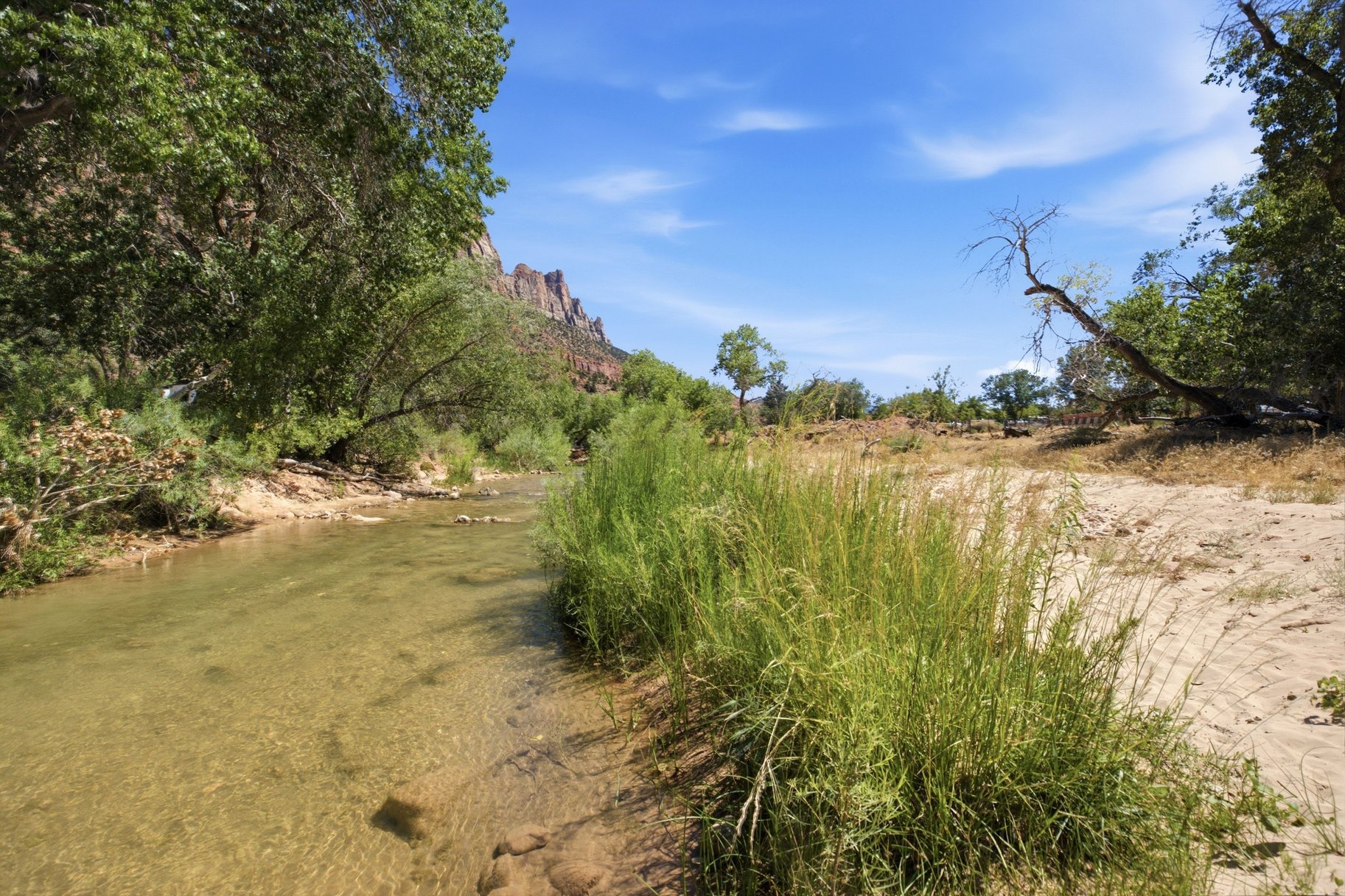  3+ Acres on the River Next to Zion National Park - 物件實景