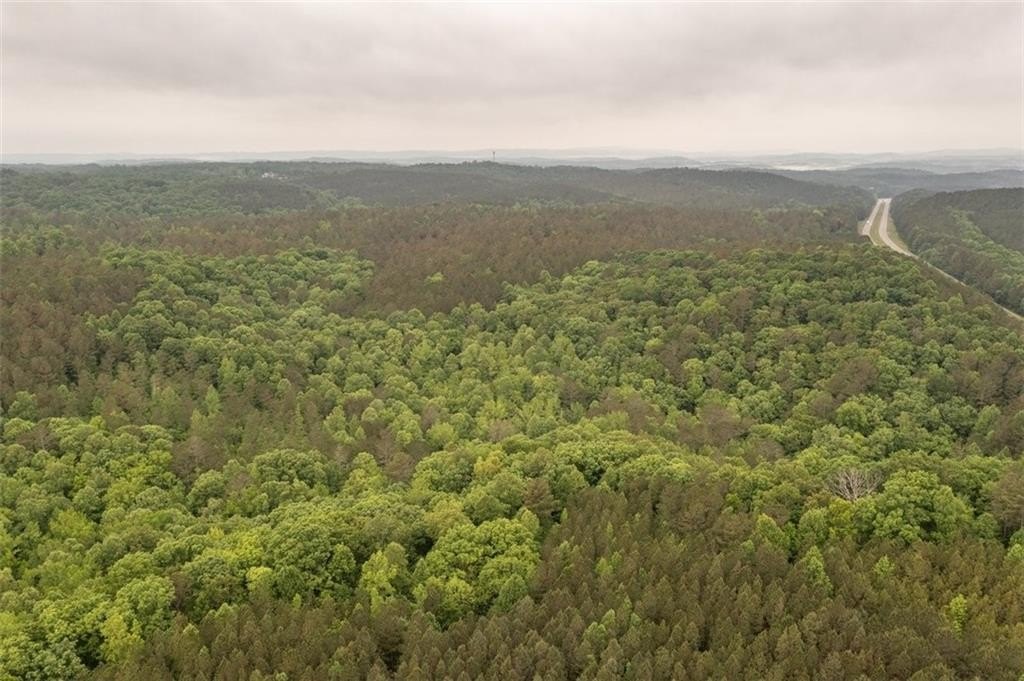 Jasper, Georgia, 30143, United States, ,Land,For Sale,2005889