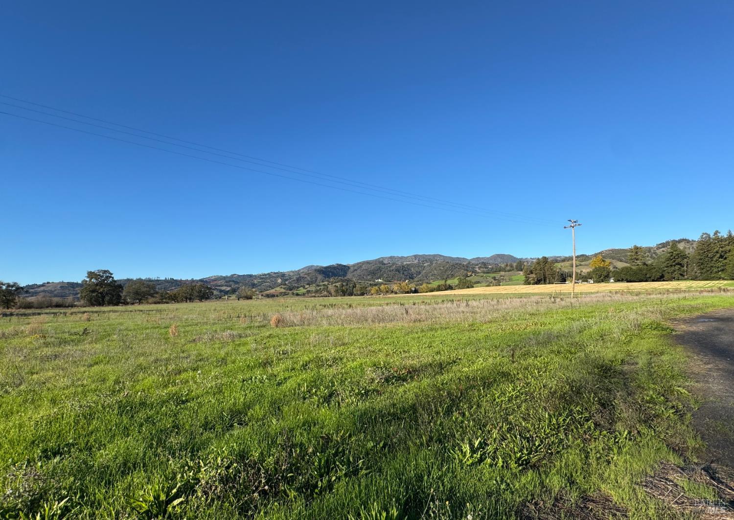Geyserville, California, 95441, United States, ,Land,For Sale,2001699