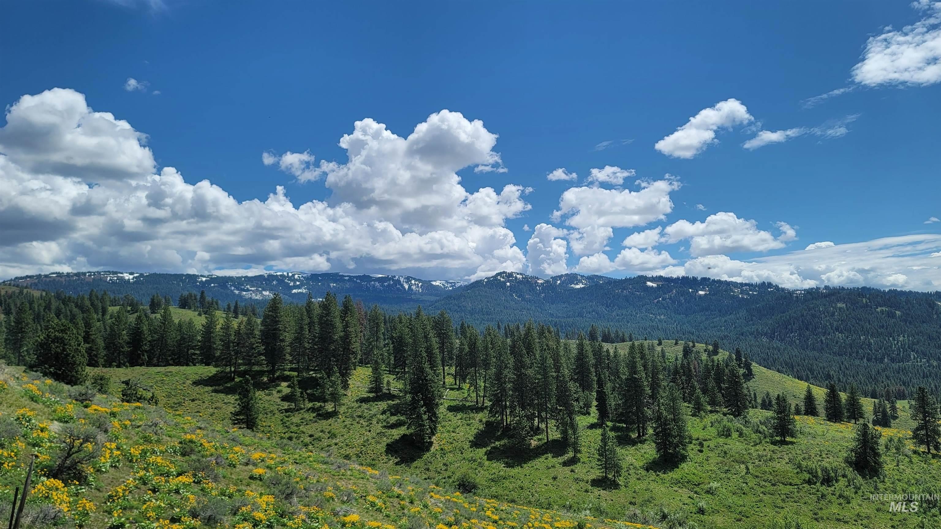 Council, Idaho, 83612, United States, 3 Bedrooms Bedrooms, ,2 BathroomsBathrooms,Residential,For Sale,1974827