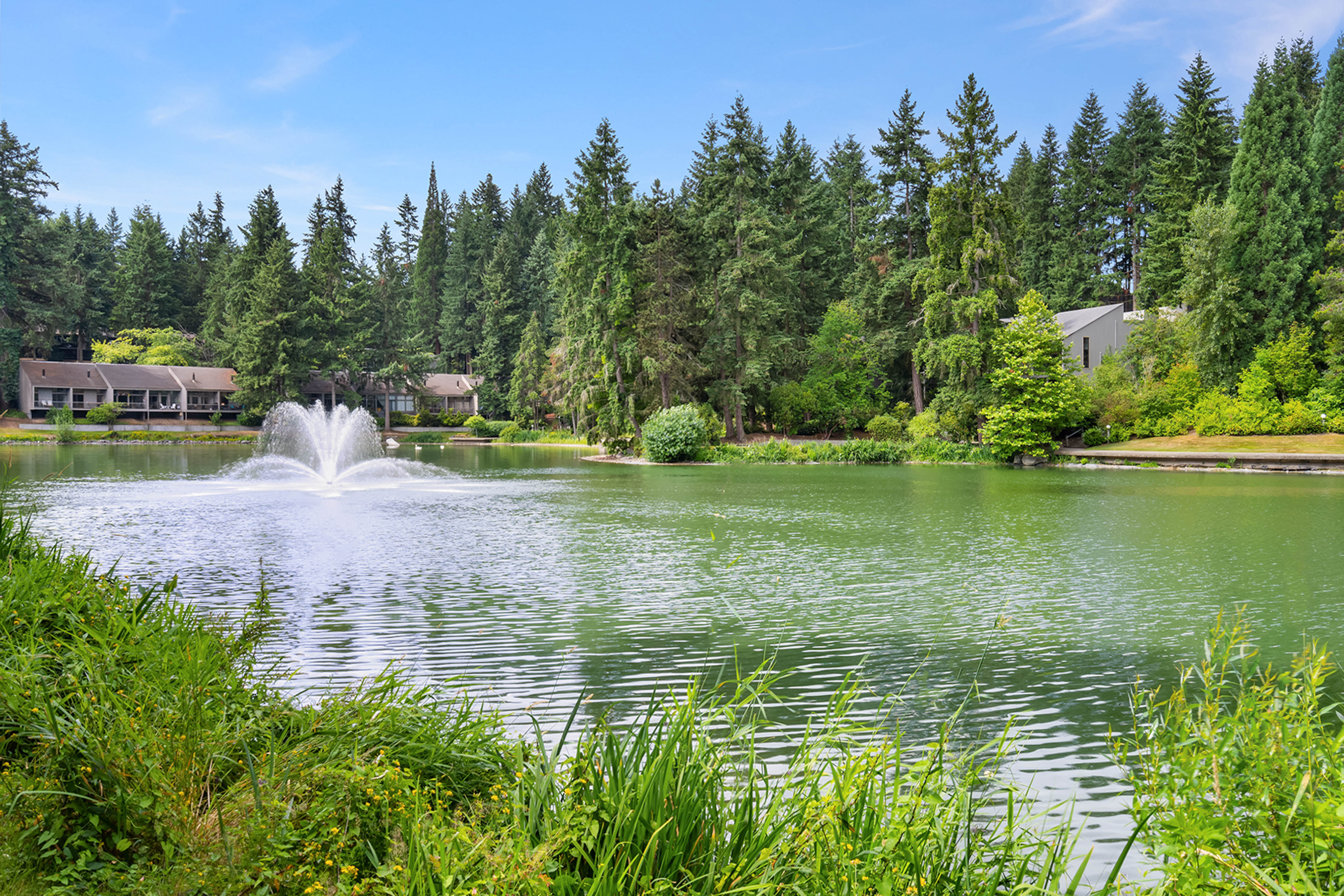  13820 NE 65th St Unit #549, Redmond, WA 98052 - 物件實景