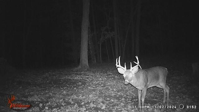 Big Rapids, Michigan, 49307, United States, 3 Bedrooms Bedrooms, ,2 BathroomsBathrooms,Residential,For Sale,1951282