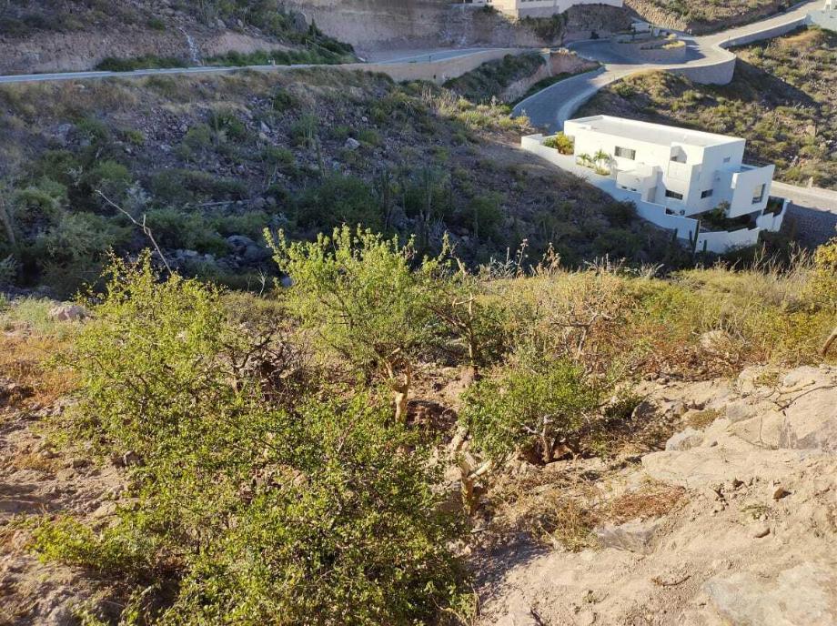 Camino del Marmol, La Paz, Baja California Sur, 23019, Mexico, 1 Bedroom Bedrooms, ,Residential,For Sale,Camino del Marmol,1629838