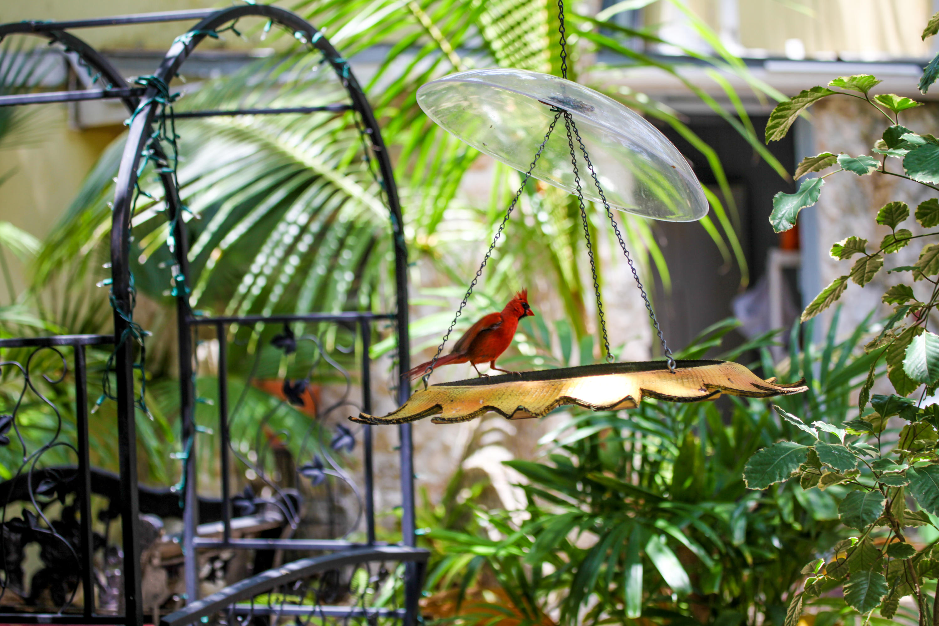 KEY LARGO, Florida, 33037, United States, 10 Bedrooms Bedrooms, ,9 BathroomsBathrooms,Residential,For Sale,1993450