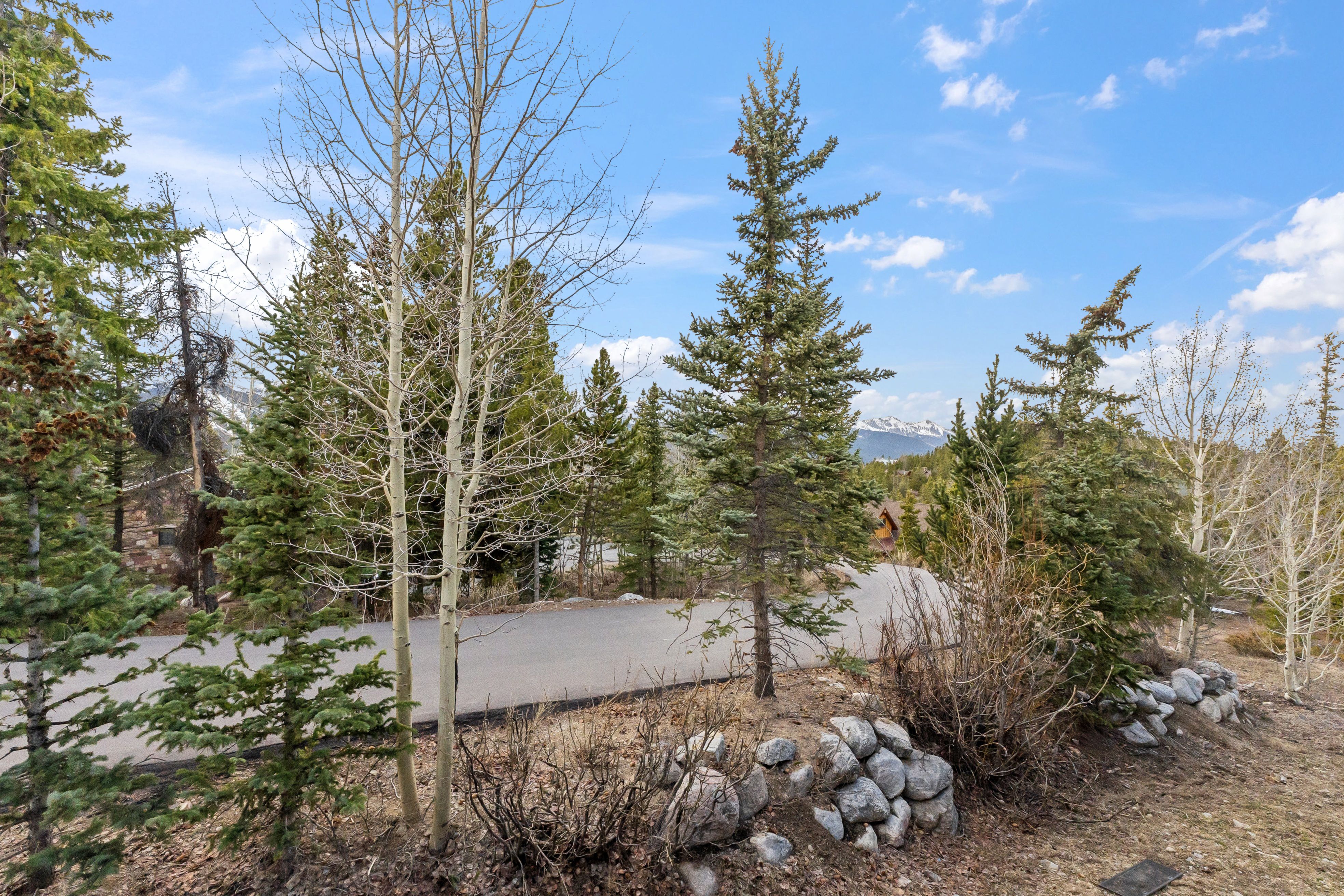  53 Atlantic Lode Road, Breckenridge, CO, 80424 - 物件實景