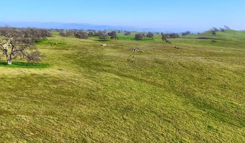 Madera, California, 93636, United States, ,Residential,For Sale,2014215