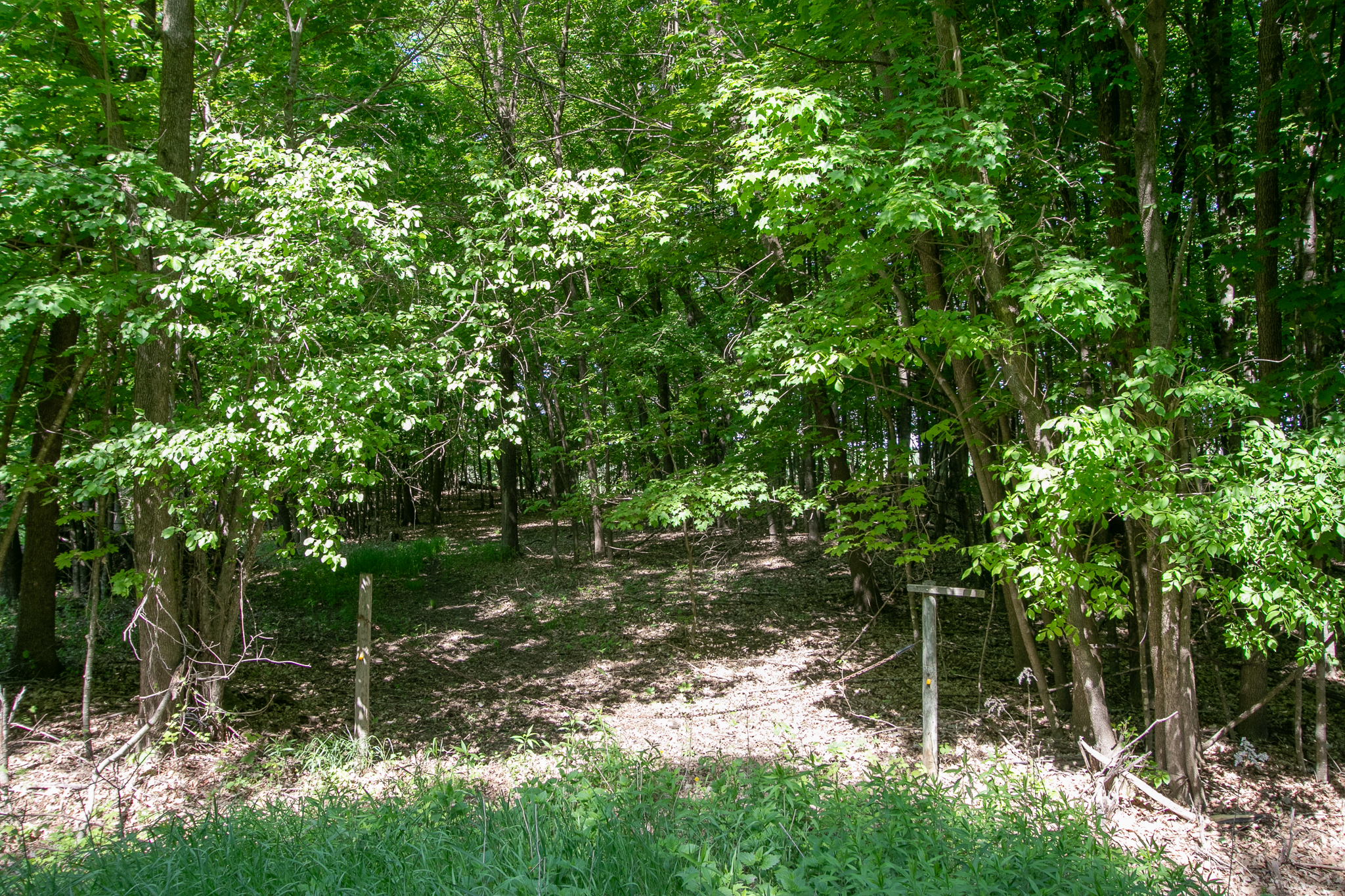 Stanchfield, Minnesota, 55080, United States, 4 Bedrooms Bedrooms, ,1 BathroomBathrooms,Residential,For Sale,2049146