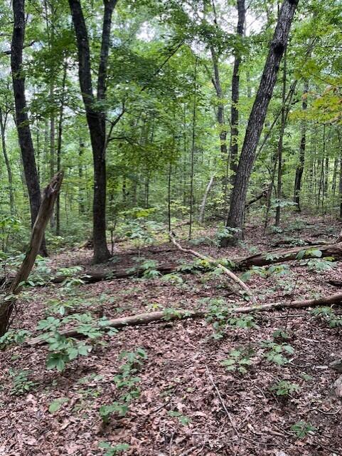 Graysville, Tennessee, 37338, United States, ,Residential,For Sale,1943907