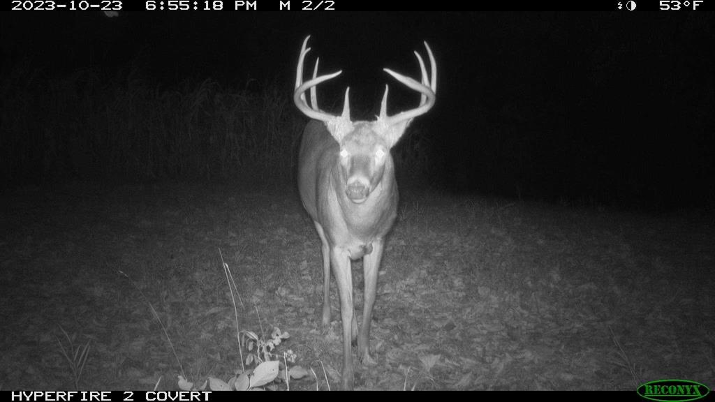 Viola, Wisconsin, 54664, United States, 5 Bedrooms Bedrooms, ,4 BathroomsBathrooms,Residential,For Sale,1974887