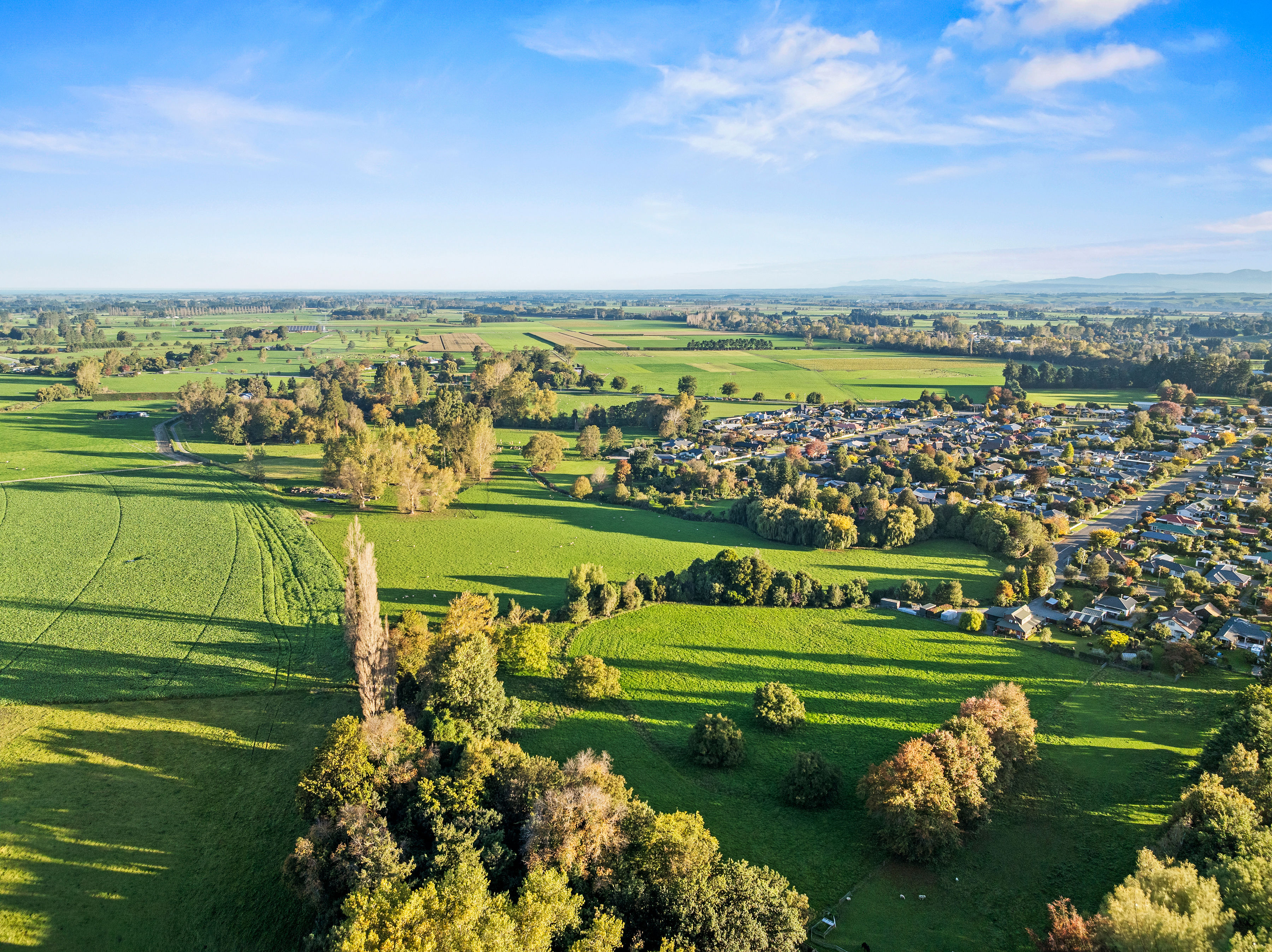  Landmark Homestead rezoned with substantial landbank - 物件實景