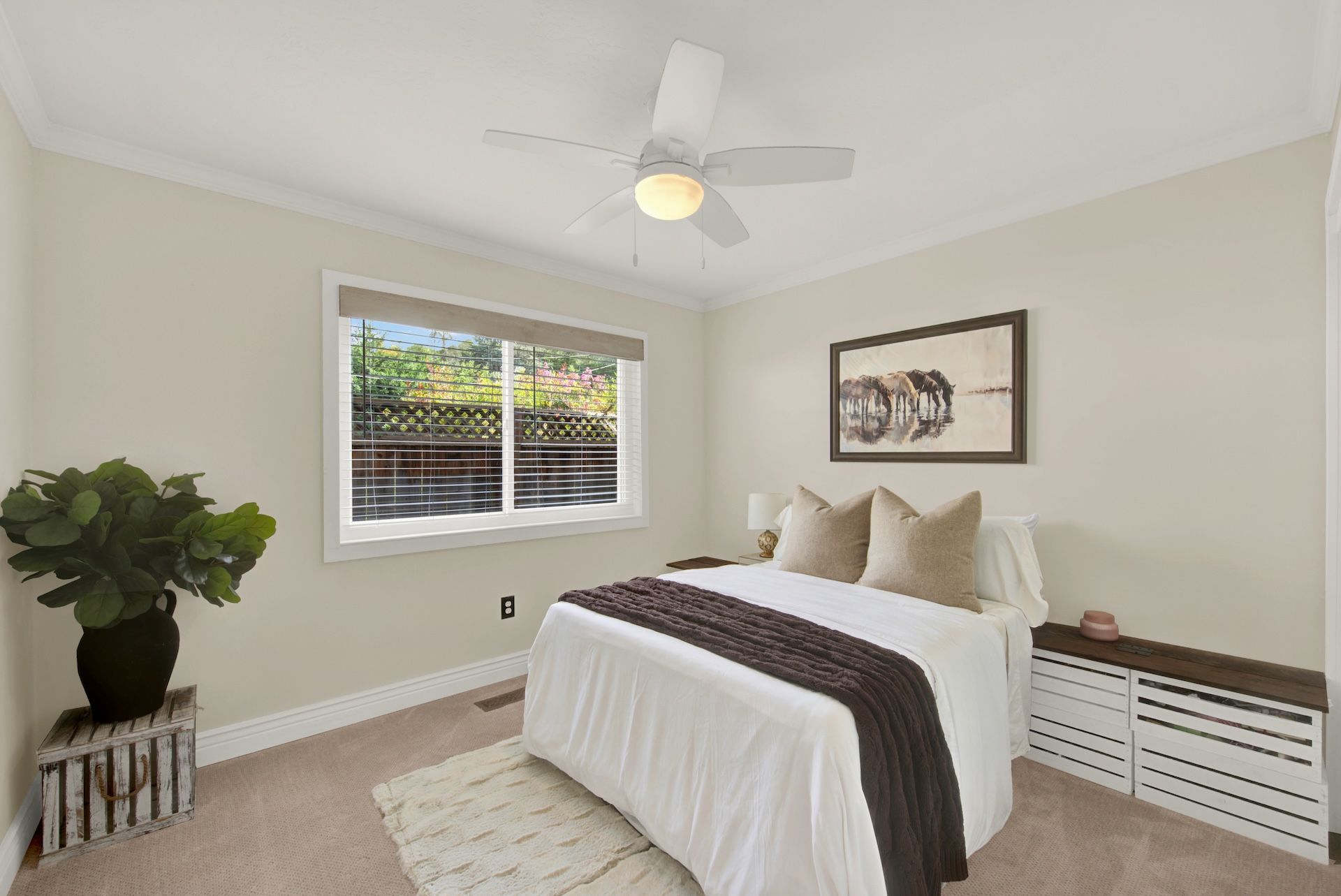  Special Napa Property - 物件實景