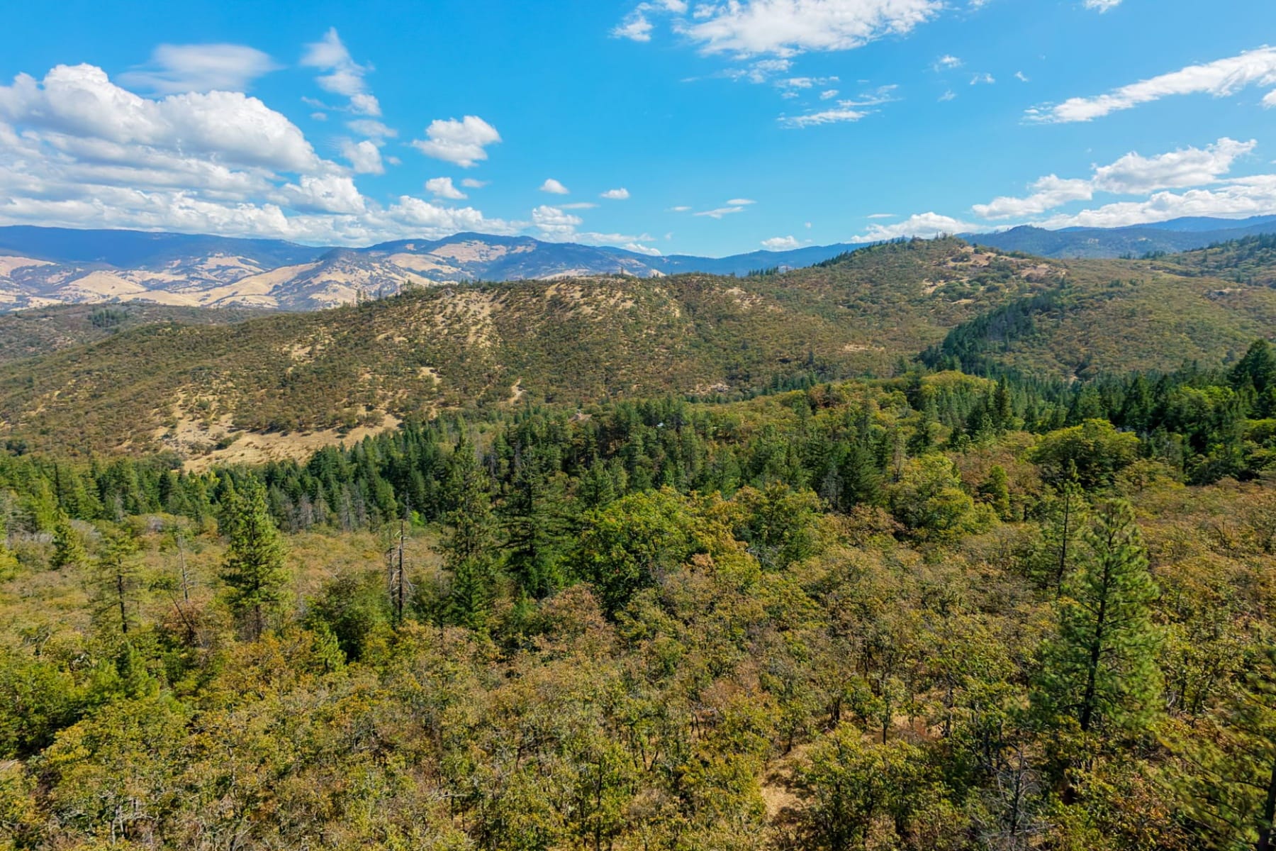  0 Siskiyou Highway Ashland, OR 97520 - 物件實景