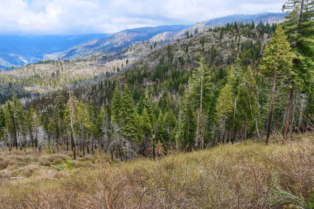 Yosemite, California, 95389, United States, ,Residential,For Sale,1791701