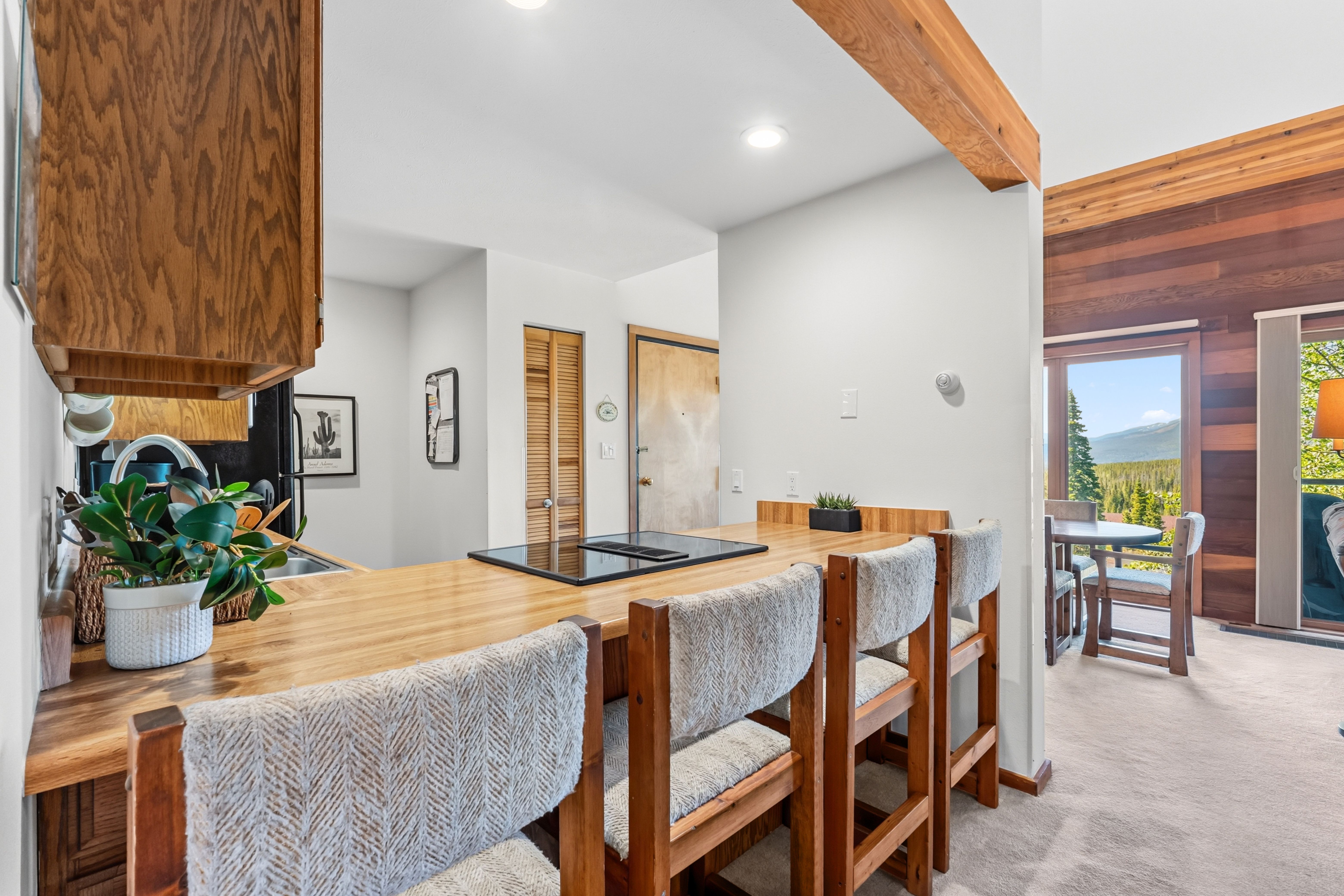  91200 Ryan Gulch Road, Silverthorne, CO, 80498 - 物件實景