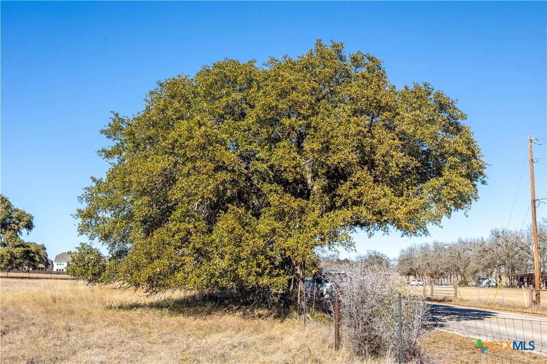 Boerne, Texas, 78015, United States, ,Land,For Sale,1686851