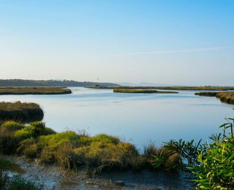 Grândola, Setúbal, 7570-788, PT, 4 Bedrooms Bedrooms, ,7 BathroomsBathrooms,Residential,For Sale,1700687