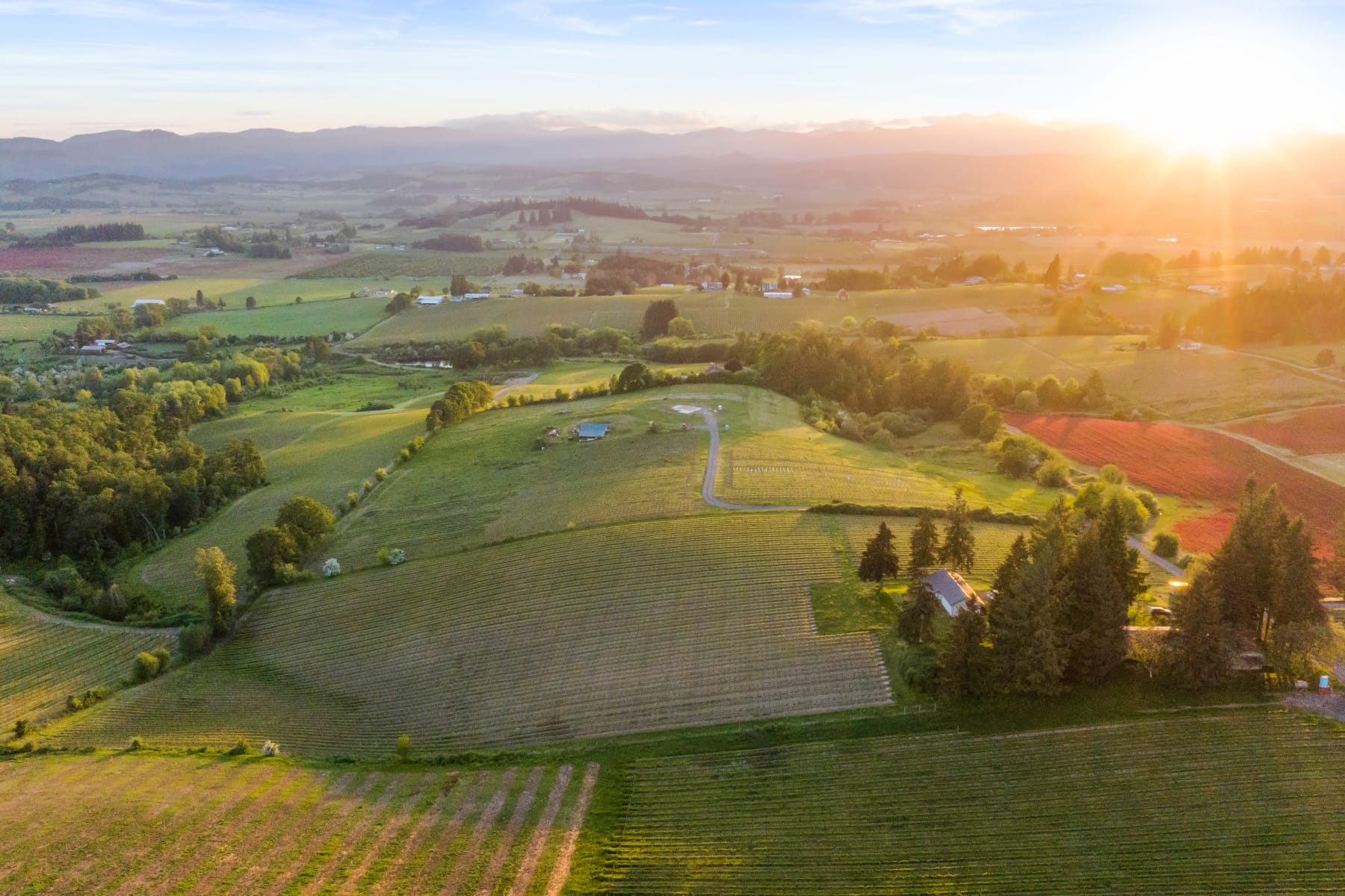  8810 NE BLACKBURN RD Yamhill, OR 97148 - 物件實景