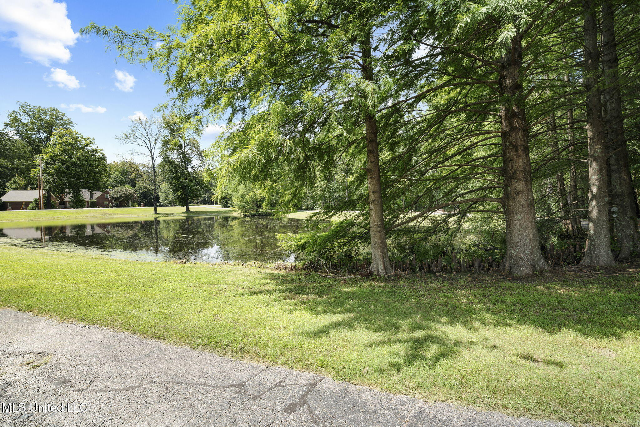 Olive Branch, Mississippi, 38654, United States, 5 Bedrooms Bedrooms, ,3 BathroomsBathrooms,Residential,For Sale,1898355