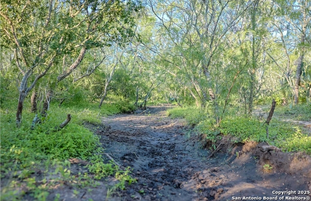 Beeville, Texas, 78102, United States, ,Land,For Sale,1988333