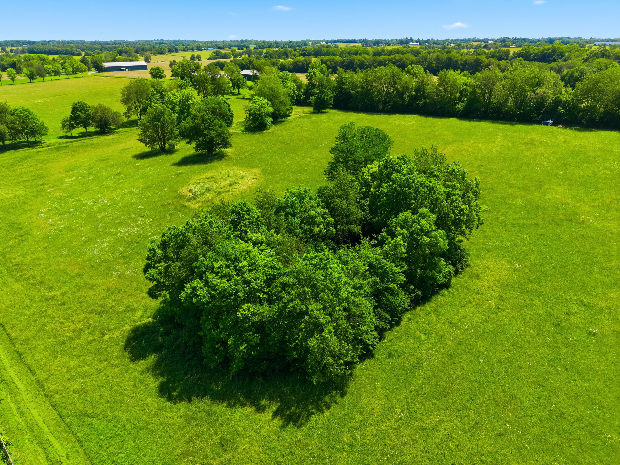  5650 Russell Cave Road - 物件實景