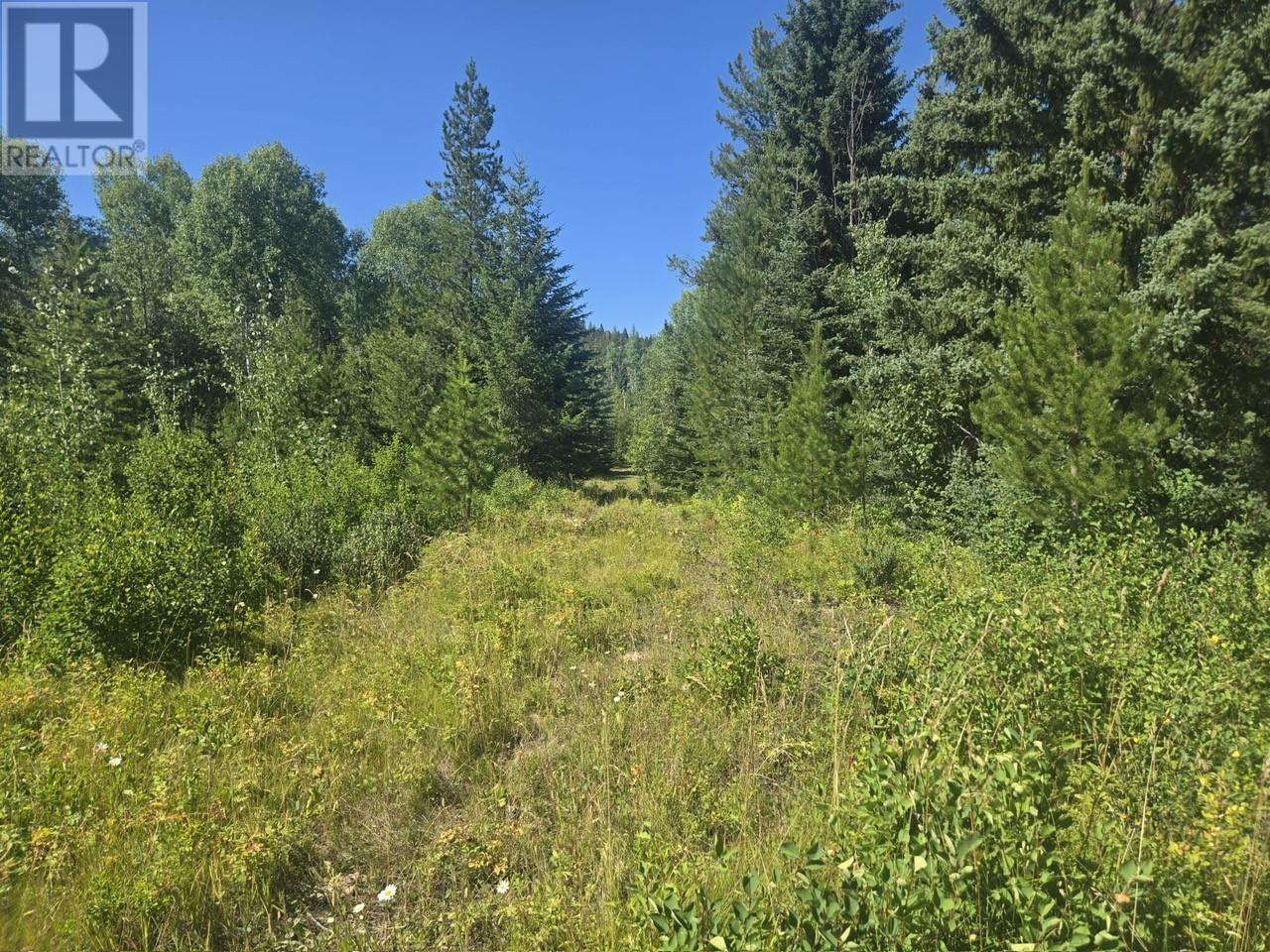 FALKLAND, British Columbia, V0E 1W1, CA, ,Residential,For Sale,1906760