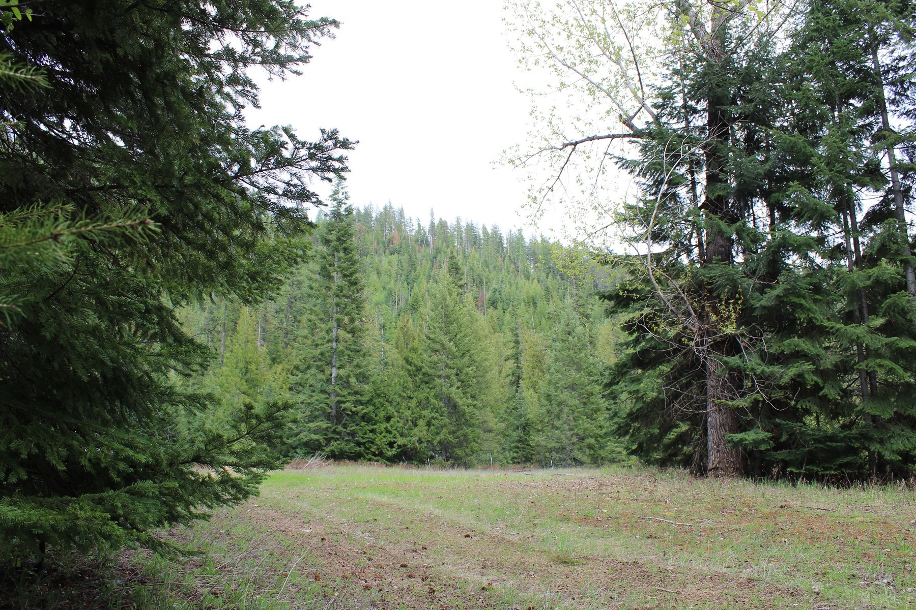  19a Daisy Gulch Road - 物件實景