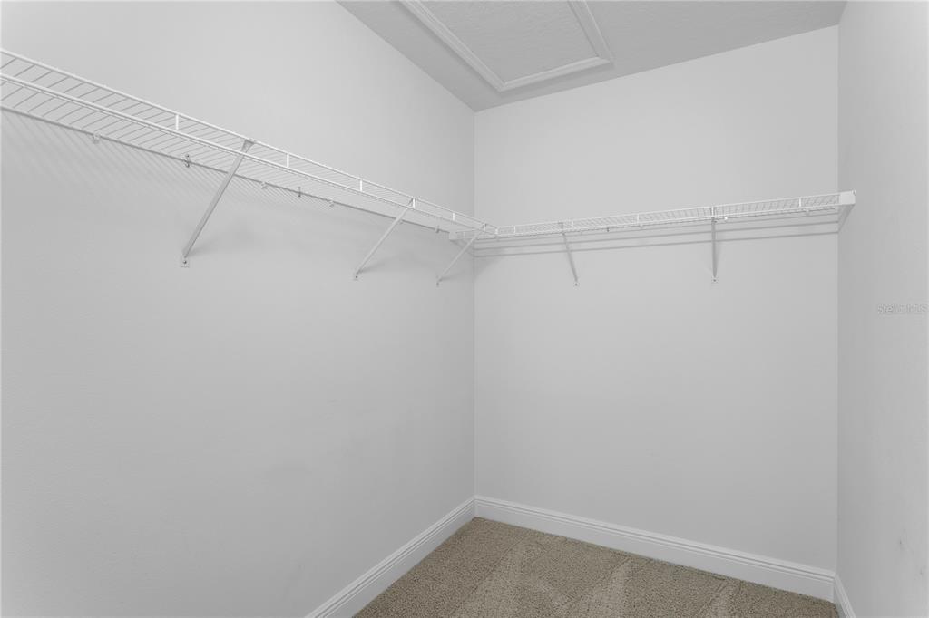 Tampa, Florida, 33647, United States, 5 Bedrooms Bedrooms, ,3 BathroomsBathrooms,Residential,For Sale,1987732