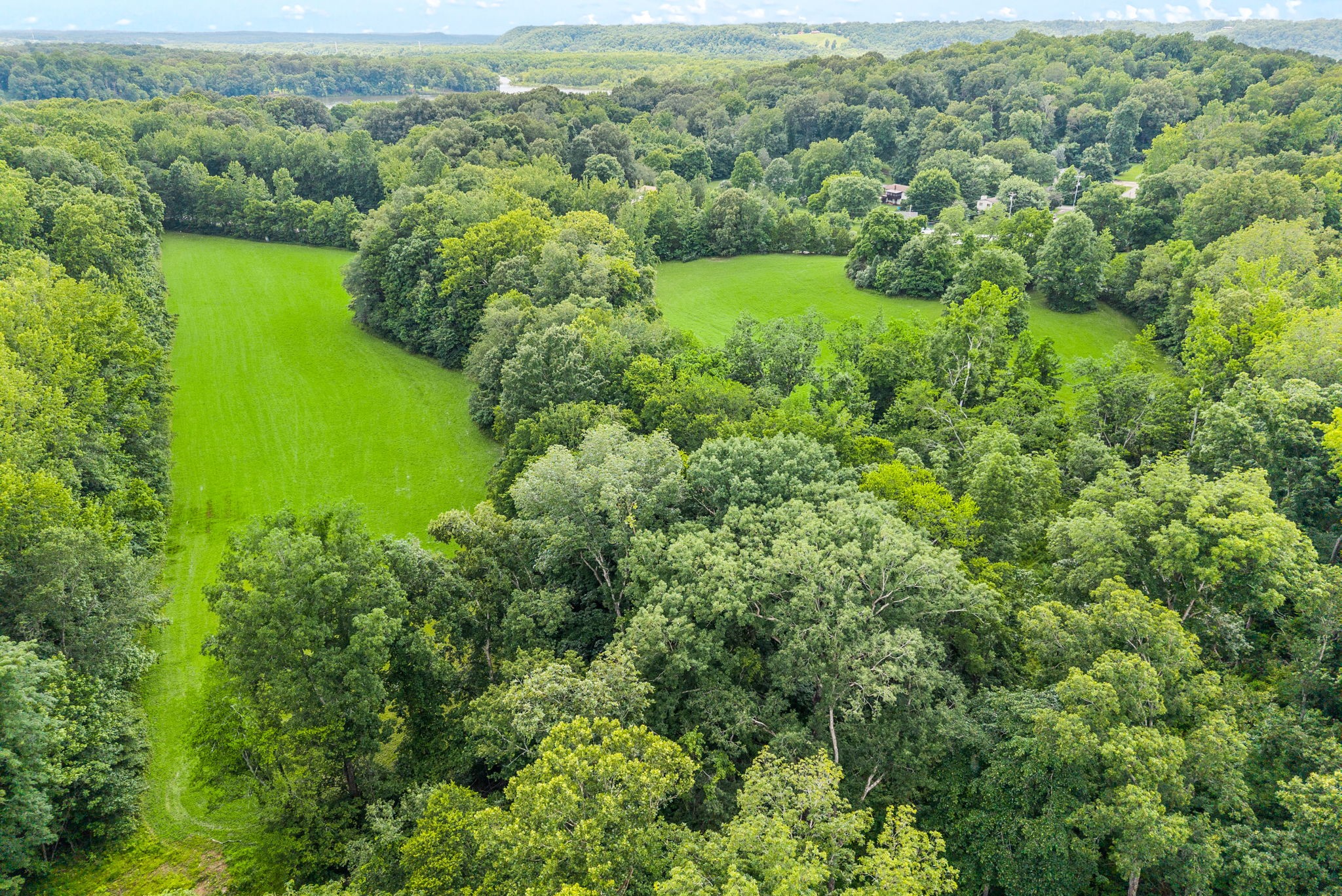  196 Wildlife Road, Dover, TN, 37058 - 物件實景