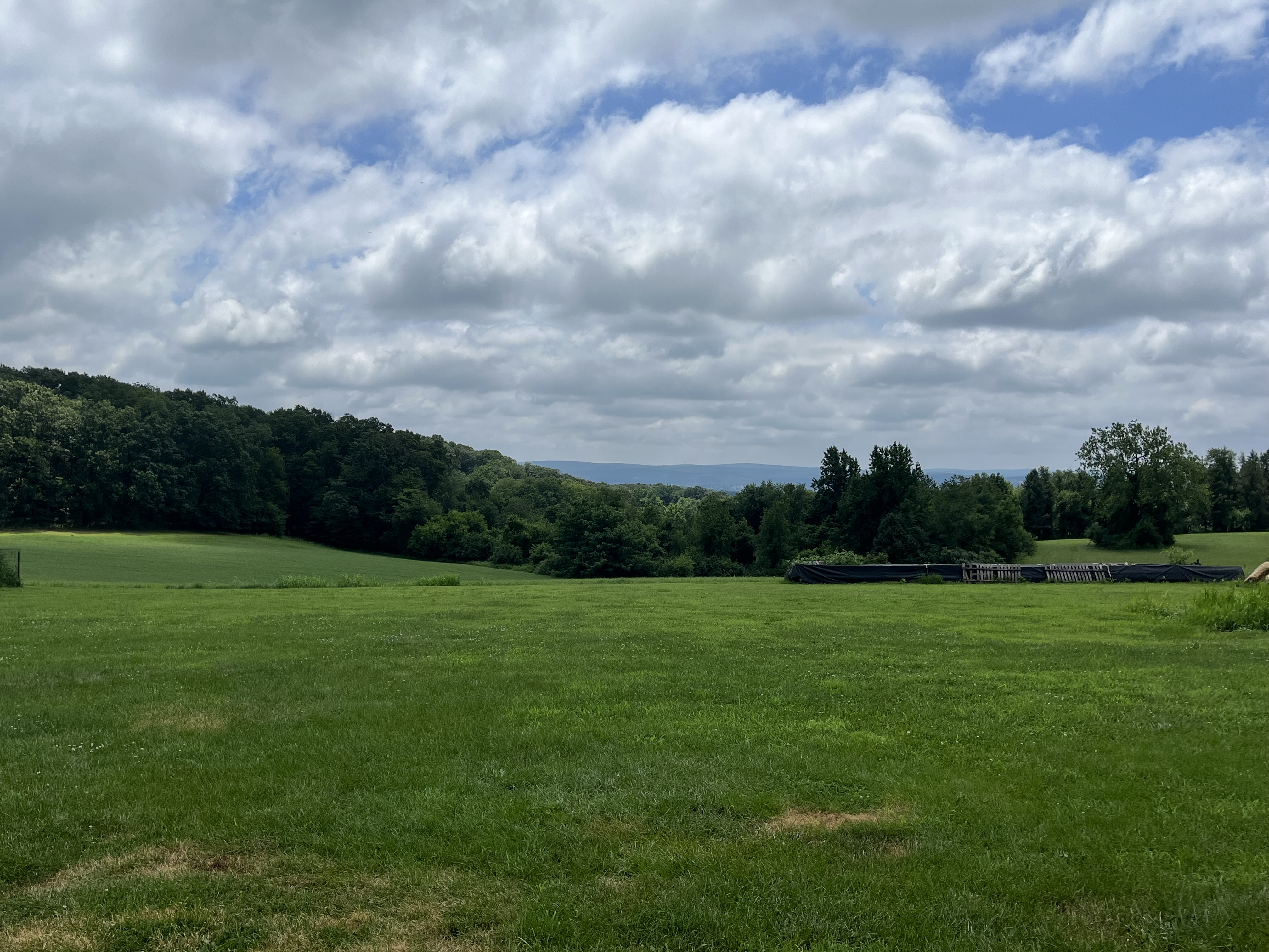 Reading, Pennsylvania, 19606, United States, 4 Bedrooms Bedrooms, ,3 BathroomsBathrooms,Residential,For Sale,1979384