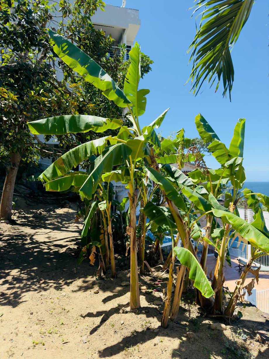 Puerto Vallarta, Jalisoc, 48270, Mexico, 2 Bedrooms Bedrooms, ,2 BathroomsBathrooms,Residential,For Sale,1940331
