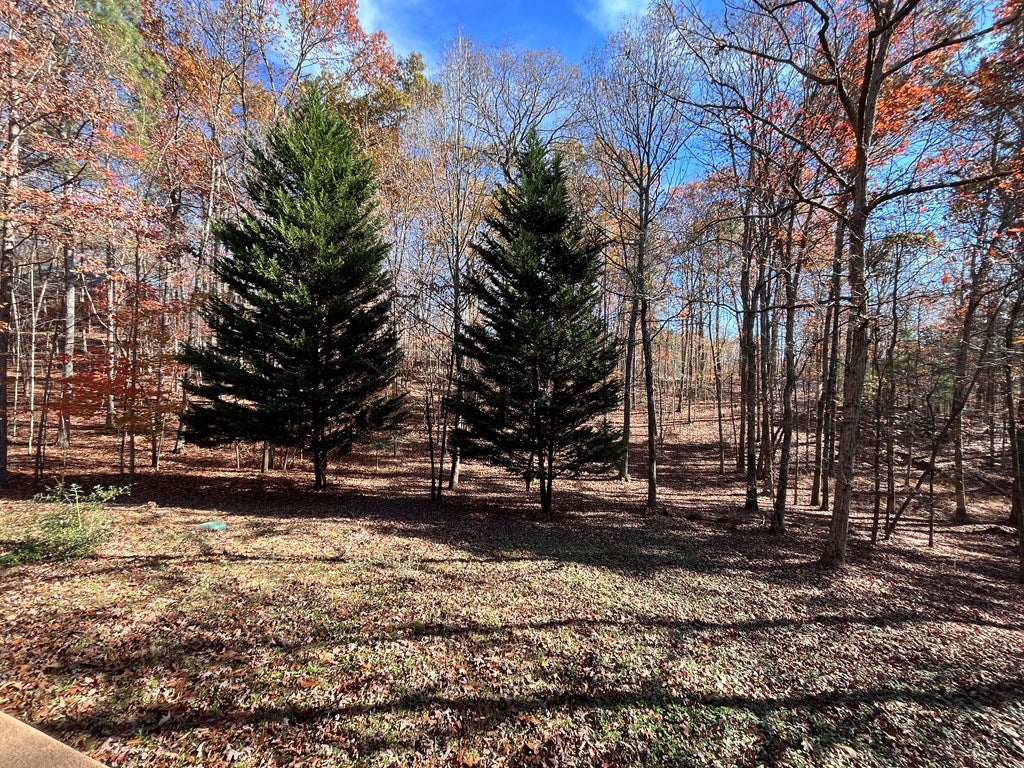 East Ellijay, Georgia, 30540, United States, 2 Bedrooms Bedrooms, ,3 BathroomsBathrooms,Residential,For Sale,1859127
