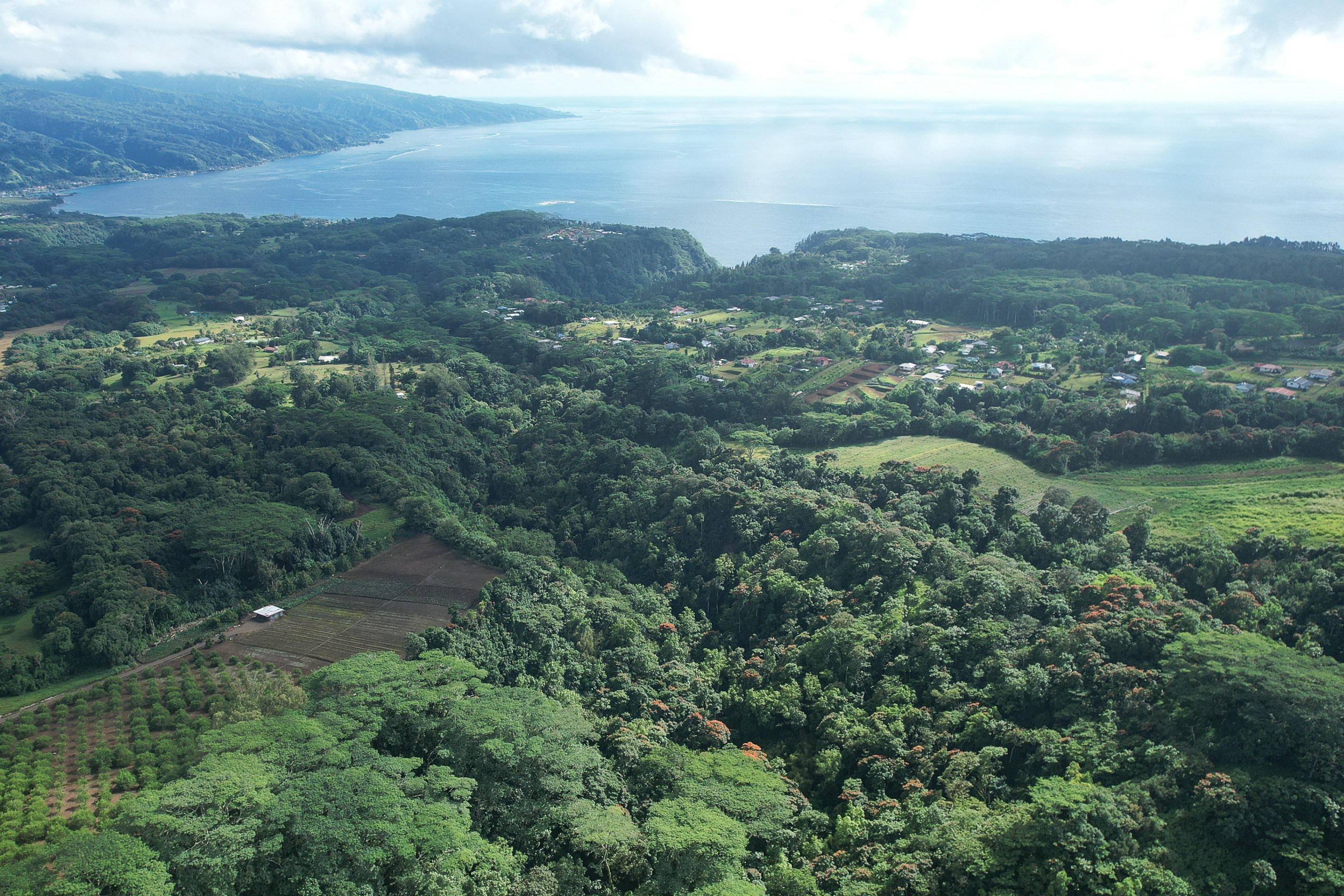  Tahiti - Afaahiti - Exceptional land surrounded by nature - 物件實景