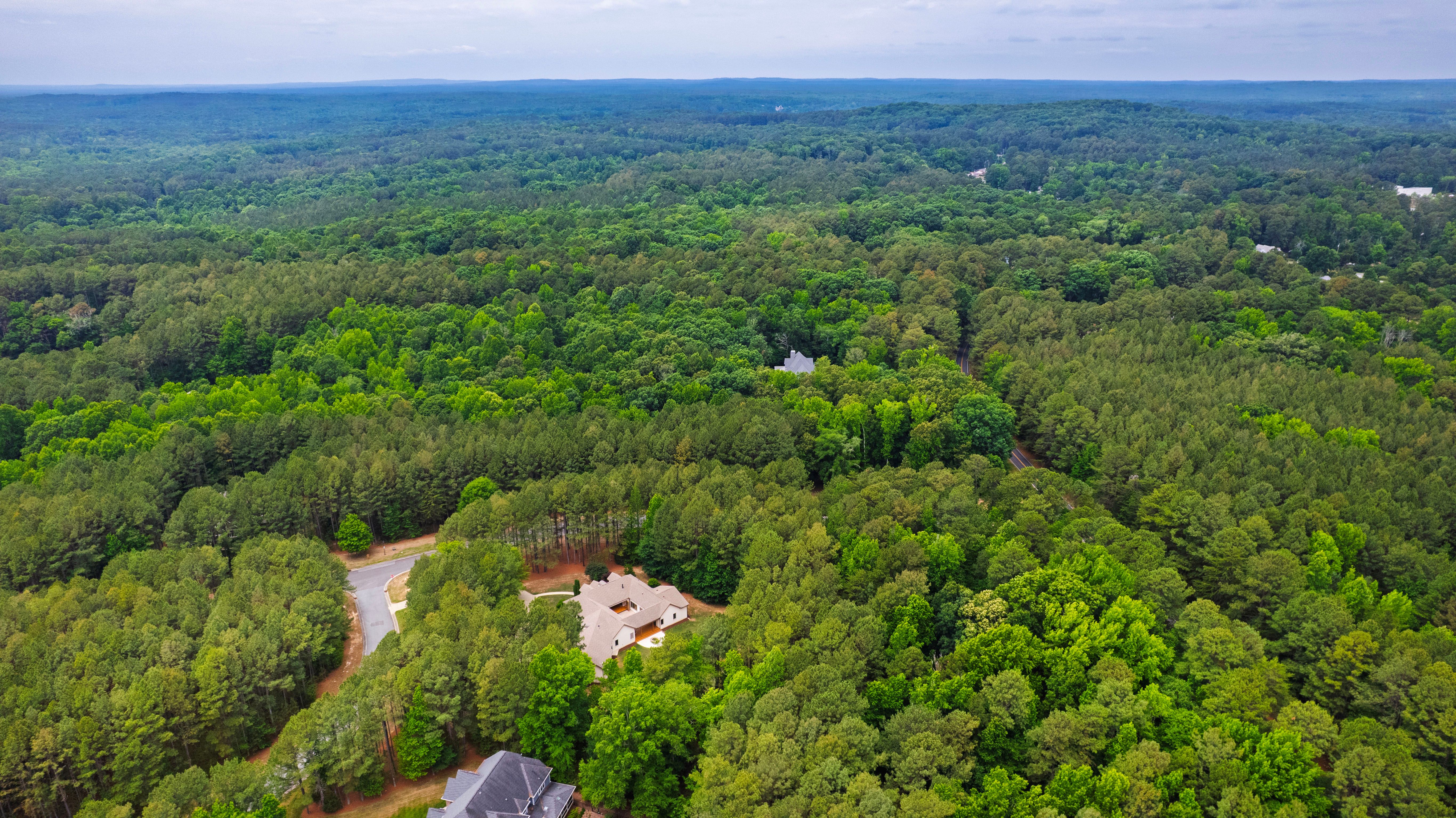  309 Weston Lane, Chapel Hill, NC 27516 - 物件實景