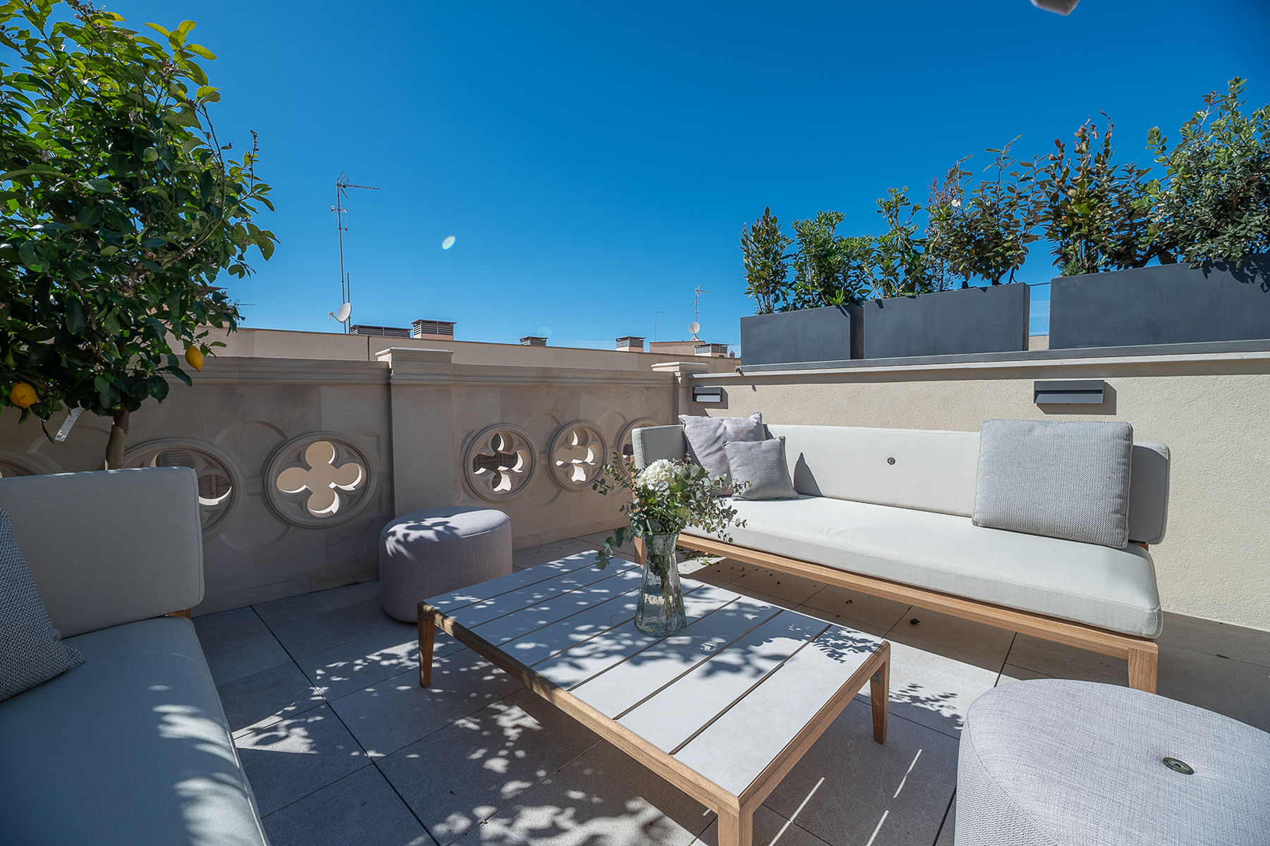  Terraced house with terrace and pool in the old town of Palma - 物件實景