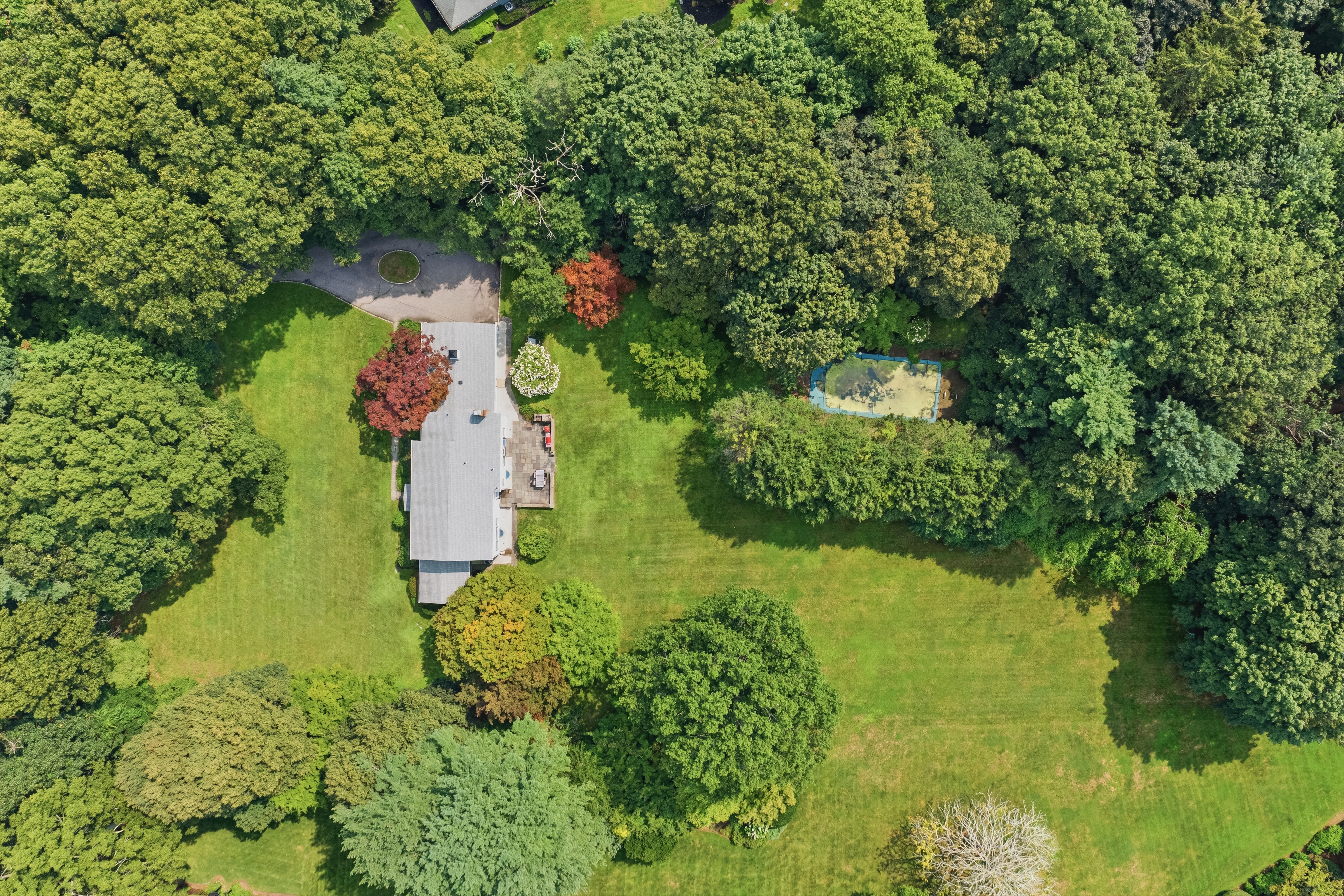  897 Ripley Lane, Muttontown, NY, 11771 - 物件實景