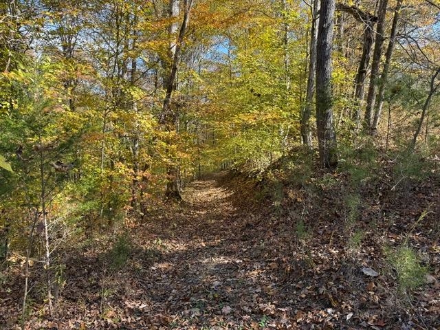 Willow Shade, Kentucky, 42166, United States, 3 Bedrooms Bedrooms, ,2 BathroomsBathrooms,Residential,For Sale,1991903