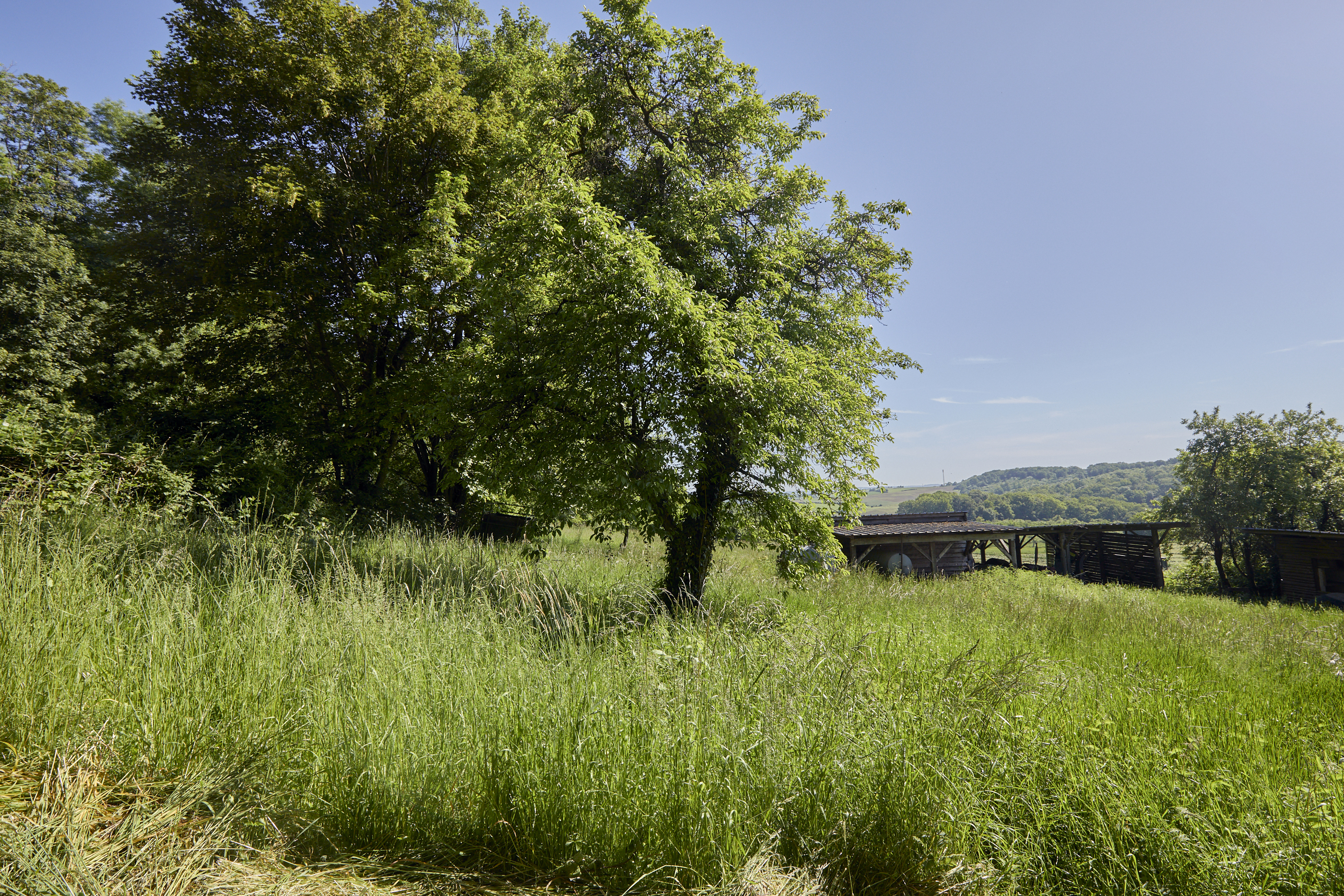  Domaine privé à Manternach - 物件實景