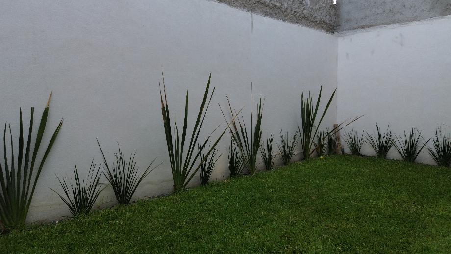 Aguascalientes, Aguascalientes, 20126, Mexico, 3 Bedrooms Bedrooms, ,4 BathroomsBathrooms,Residential,For Sale,1918342