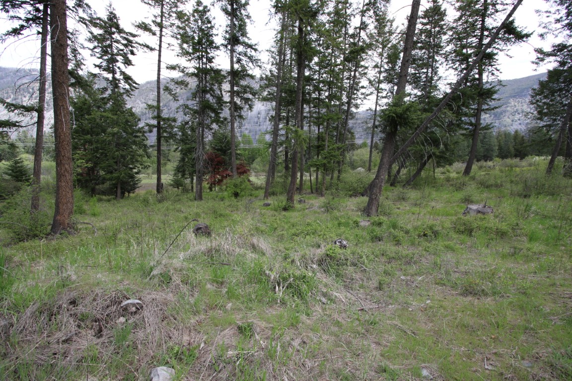 Plains, Montana, 59859, United States, ,Residential,For Sale,1921183
