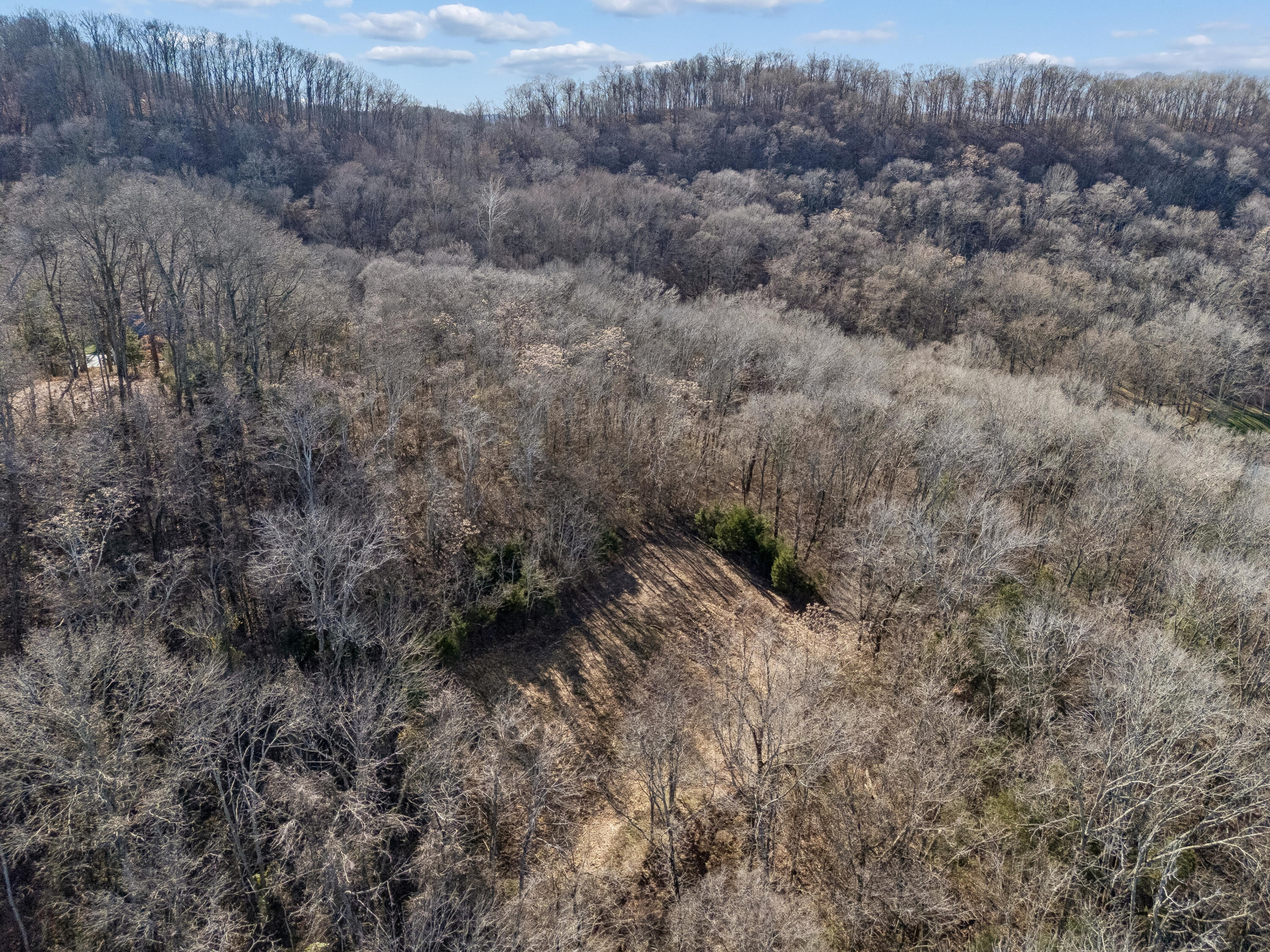 Brentwood, Tennessee, 37027, United States, ,Land,For Sale,2005446